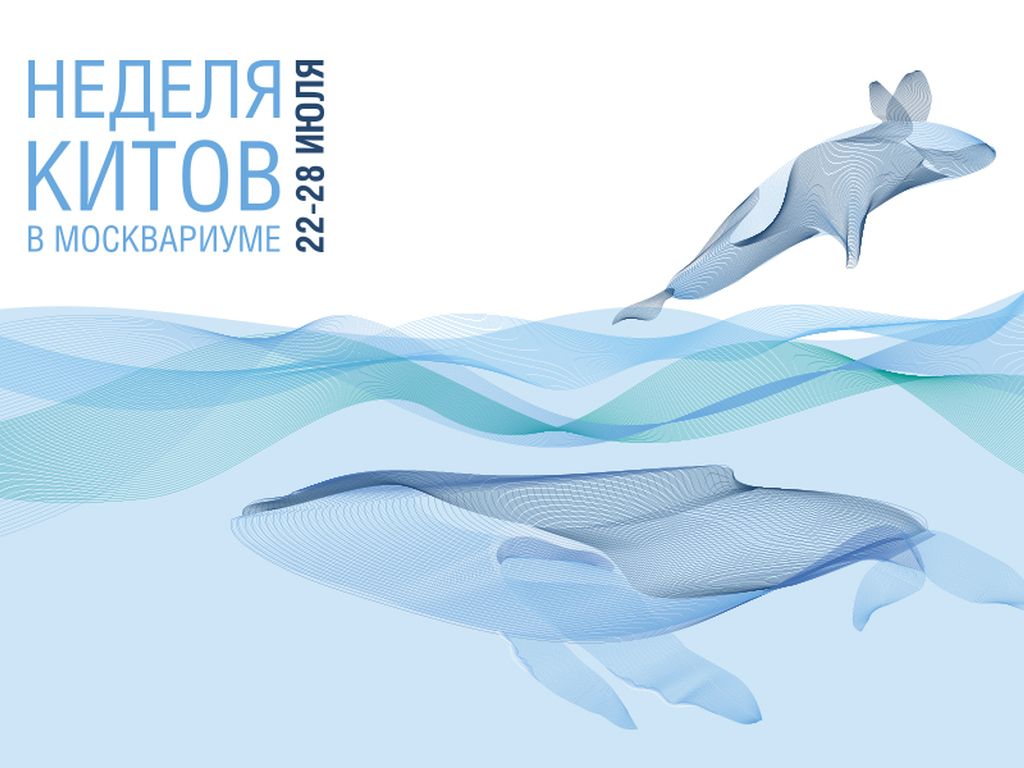 Неделя китов в Москвариуме