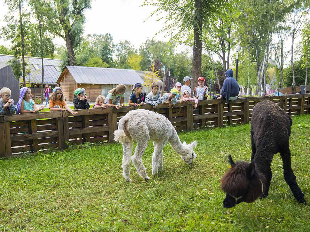 Городская ферма на ВДНХ - Викендо