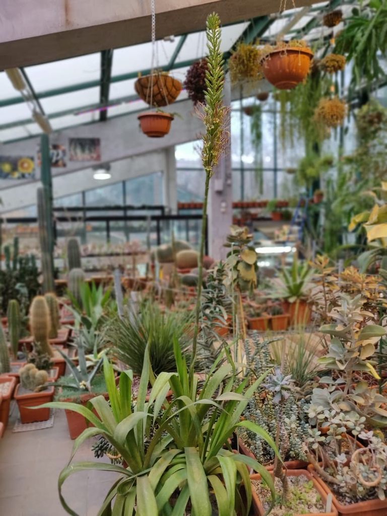Ботанический сад в Минске: цены, фото и многое другое