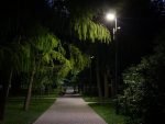 Онлайн-проект Сказки на ночь в Таганском парке