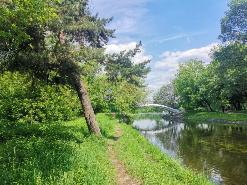 Где купаться в Москве? Топ официальных пляжей и водоемов Москвы - Статьи -  Викендо