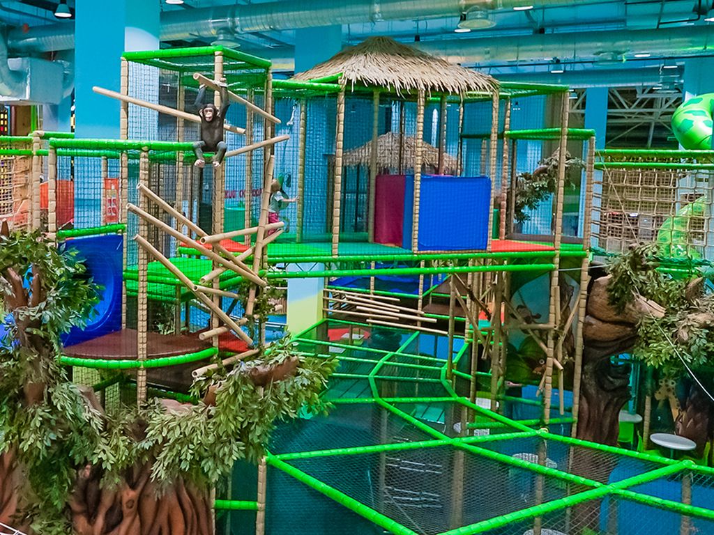 парке и активного отдыха «Весёлые джунгли» весёлые джунгли с детьми 